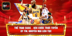 Thể Thao S666 cung cấp cá cược đa dạng, tỷ lệ kèo minh bạch và khuyến mãi liên tục.